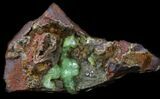 Gemmy, Green Adamite Crystals - Durango, Mexico #34938-1